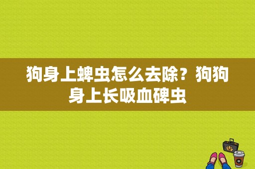 狗身上蜱虫怎么去除？狗狗身上长吸血碑虫-图1