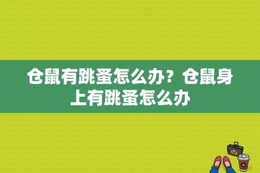 仓鼠有跳蚤怎么办？仓鼠身上有跳蚤怎么办-图1