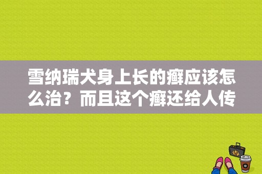 雪纳瑞犬身上长的癣应该怎么治？而且这个癣还给人传染```？雪纳瑞身上长癣-图1