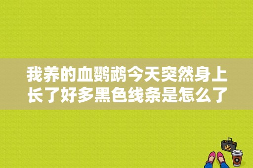 我养的血鹦鹉今天突然身上长了好多黑色线条是怎么了？鹦鹉身上黑点-图1