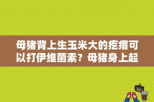 母猪背上生玉米大的疙瘩可以打伊维菌素？母猪身上起疙瘩-图1