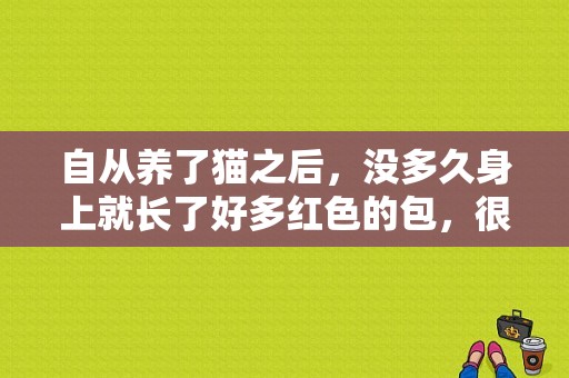 自从养了猫之后，没多久身上就长了好多红色的包，很痒，抓了就变的很严重，十几个地方？养猫身上起小包-图1