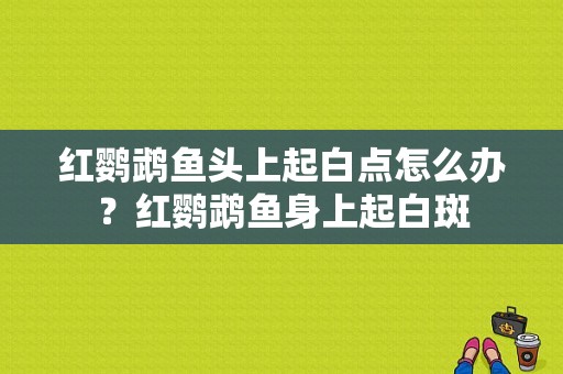 红鹦鹉鱼头上起白点怎么办？红鹦鹉鱼身上起白斑-图1