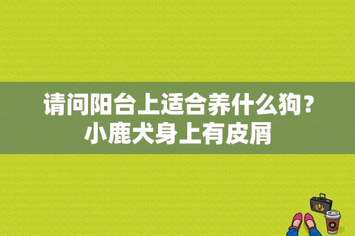 请问阳台上适合养什么狗？小鹿犬身上有皮屑-图1