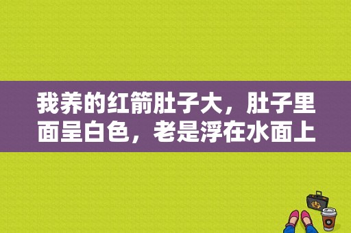 我养的红箭肚子大，肚子里面呈白色，老是浮在水面上是什么原因？红箭鱼身上局新发白-图1