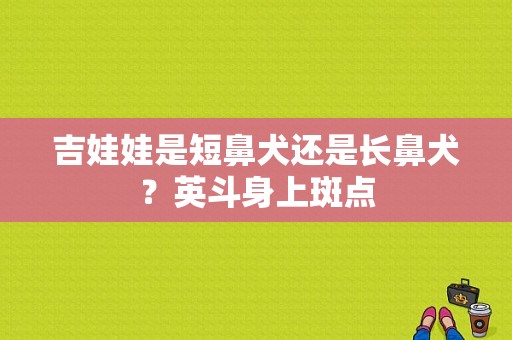 吉娃娃是短鼻犬还是长鼻犬？英斗身上斑点