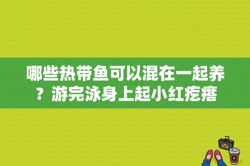 哪些热带鱼可以混在一起养？游完泳身上起小红疙瘩