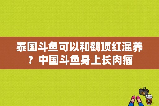 泰国斗鱼可以和鹤顶红混养？中国斗鱼身上长肉瘤