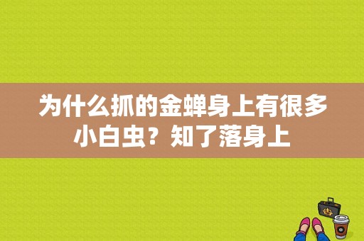 为什么抓的金蝉身上有很多小白虫？知了落身上