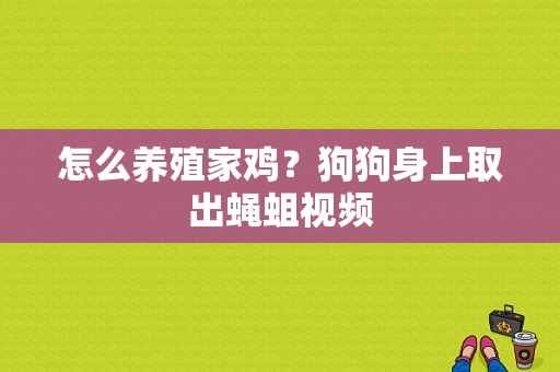 怎么养殖家鸡？狗狗身上取出蝇蛆视频