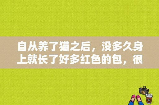 自从养了猫之后，没多久身上就长了好多红色的包，很痒，抓了就变的很严重，十几个地方？养猫身上起小包还痒-图1