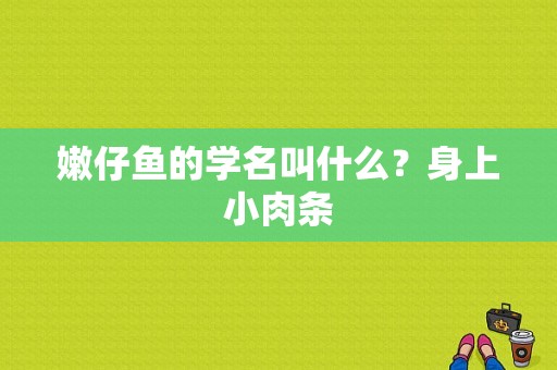 嫩仔鱼的学名叫什么？身上小肉条