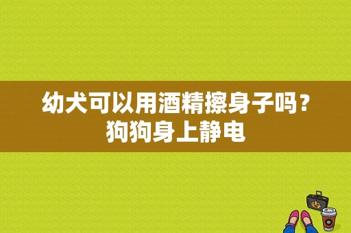 幼犬可以用酒精擦身子吗？狗狗身上静电