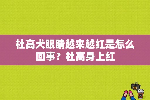 杜高犬眼睛越来越红是怎么回事？杜高身上红-图1