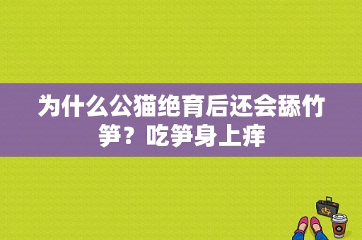 为什么公猫绝育后还会舔竹笋？吃笋身上痒