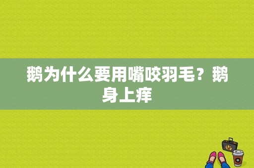 鹅为什么要用嘴咬羽毛？鹅身上痒