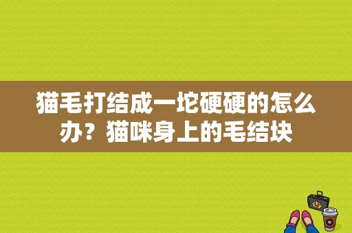 猫毛打结成一坨硬硬的怎么办？猫咪身上的毛结块