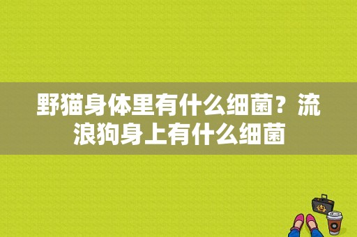 野猫身体里有什么细菌？流浪狗身上有什么细菌