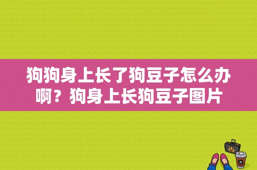 狗狗身上长了狗豆子怎么办啊？狗身上长狗豆子图片-图1