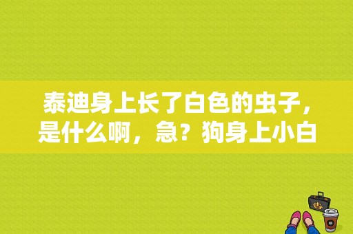 泰迪身上长了白色的虫子，是什么啊，急？狗身上小白虫-图1