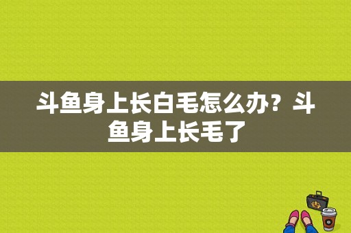 斗鱼身上长白毛怎么办？斗鱼身上长毛了