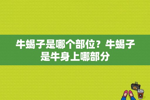 牛蝎子是哪个部位？牛蝎子是牛身上哪部分-图1