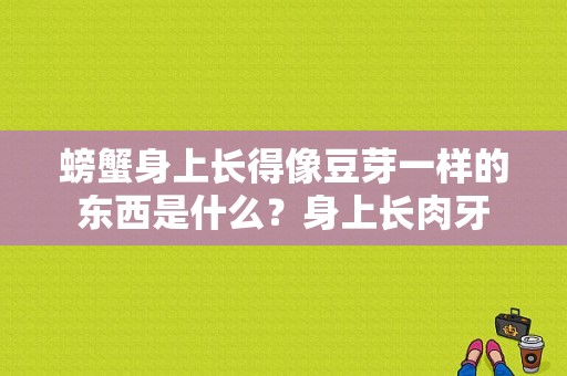 螃蟹身上长得像豆芽一样的东西是什么？身上长肉牙-图1