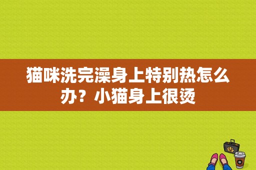 猫咪洗完澡身上特别热怎么办？小猫身上很烫-图1