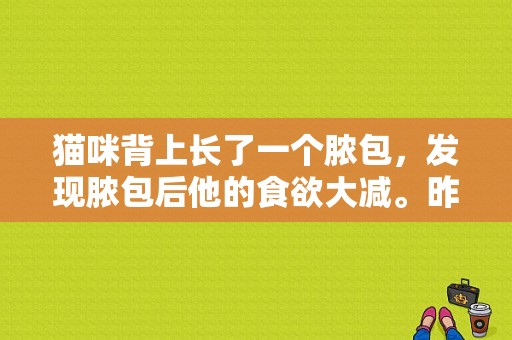 猫咪背上长了一个脓包，发现脓包后他的食欲大减。昨晚他把脓包添破了，流了很多的脓血水。现已不吃饭不出窝？小猫身上长脓包-图1