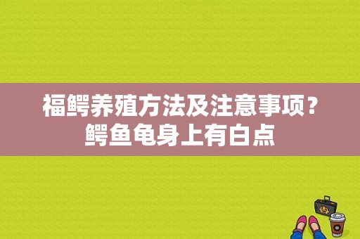 福鳄养殖方法及注意事项？鳄鱼龟身上有白点