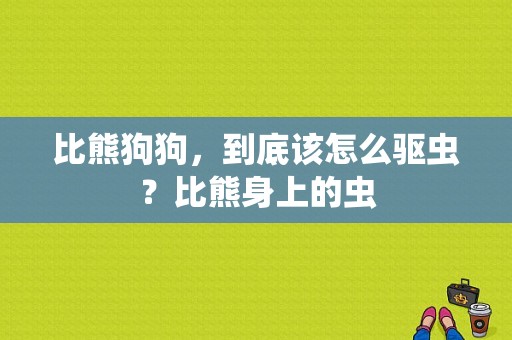 比熊狗狗，到底该怎么驱虫？比熊身上的虫-图1