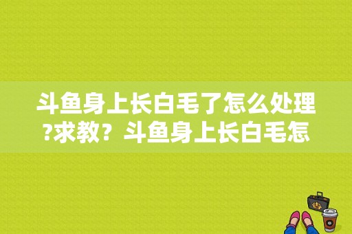 斗鱼身上长白毛了怎么处理?求教？斗鱼身上长白毛怎么办