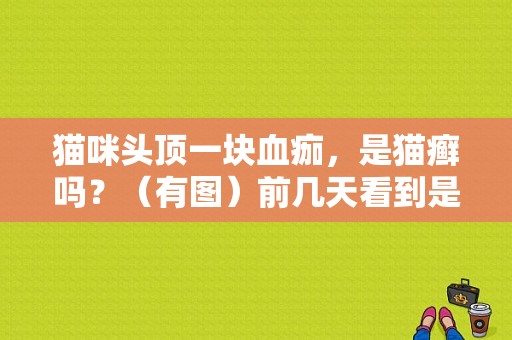 猫咪头顶一块血痂，是猫癣吗？（有图）前几天看到是米粒大，今天感觉？猫身上有血痂硬块-图1