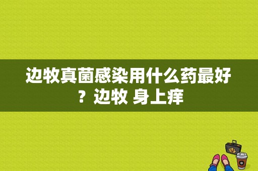 边牧真菌感染用什么药最好？边牧 身上痒-图1