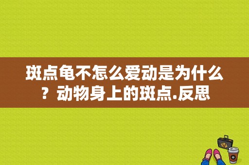 斑点龟不怎么爱动是为什么？动物身上的斑点.反思-图1