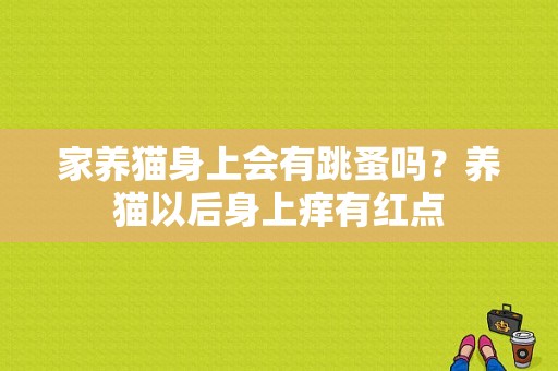 家养猫身上会有跳蚤吗？养猫以后身上痒有红点-图1