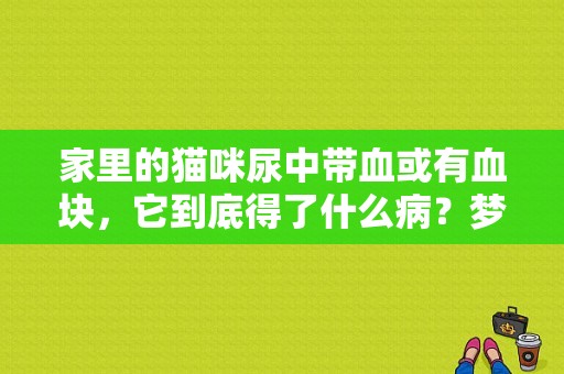 家里的猫咪尿中带血或有血块，它到底得了什么病？梦到身上有猫血