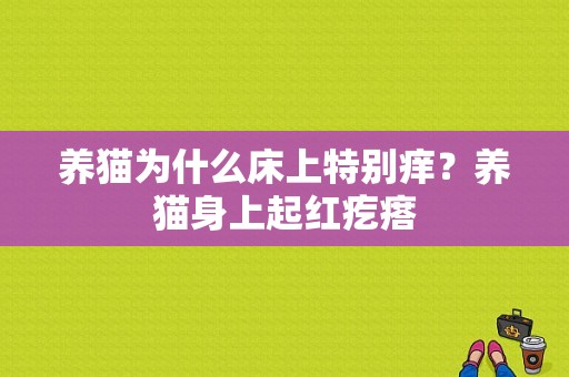 养猫为什么床上特别痒？养猫身上起红疙瘩-图1