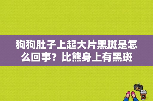 狗狗肚子上起大片黑斑是怎么回事？比熊身上有黑斑-图1