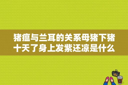 猪瘟与兰耳的关系母猪下猪十天了身上发紫还凉是什么病有时喝水还拉噶的粪还能治好吗？仔猪身上凉