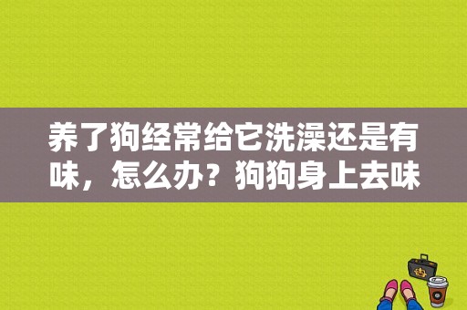 养了狗经常给它洗澡还是有味，怎么办？狗狗身上去味-图1