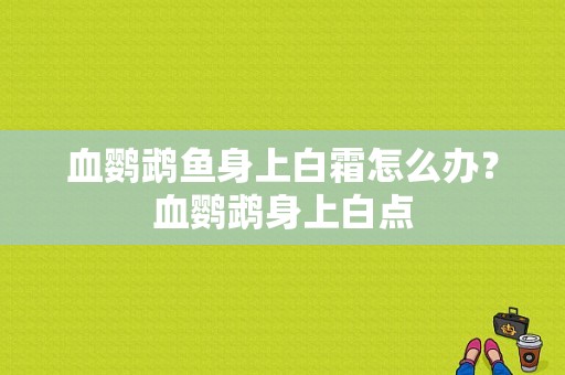 血鹦鹉鱼身上白霜怎么办？血鹦鹉身上白点