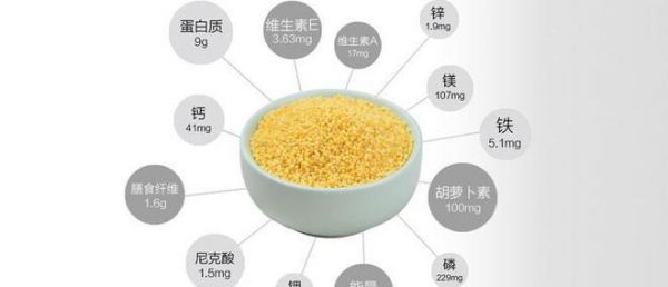 白癜风可不可以吃小米的简单介绍-图2