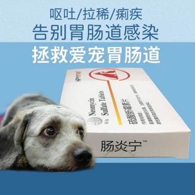 小狗消化药有什么（狗狗消化系统消炎药有哪些）-图2