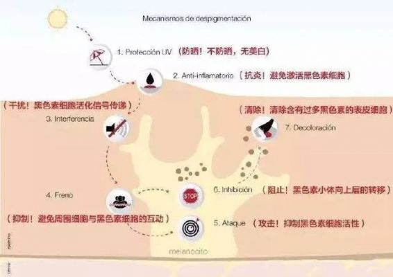 白癜风吃烟酰胺的副作用和危害（烟酰胺能治白斑吗）-图3