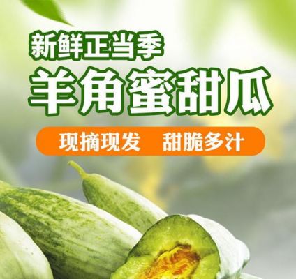 包含白癜风可以吃羊角蜜甜瓜吗的词条-图2