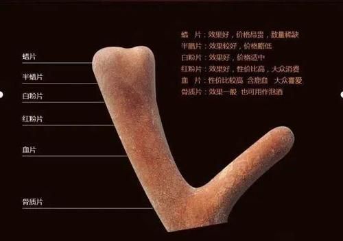 白癜风可以吃鹿茸吗的简单介绍-图2