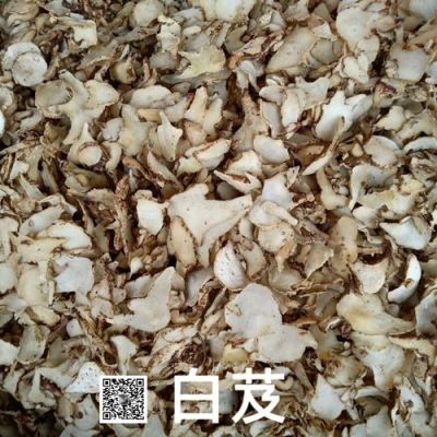 白癜风吃小白芨有用吗（中医小白芨的药用价值）-图3