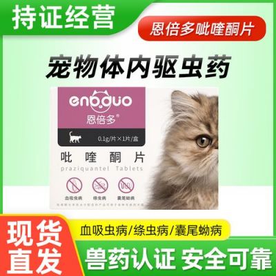 加菲猫驱虫用什么药（加菲猫体内驱虫怎么驱虫）-图2