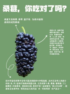 吃桑果可以治白癜风（吃桑果可以让白发变黑发吗）